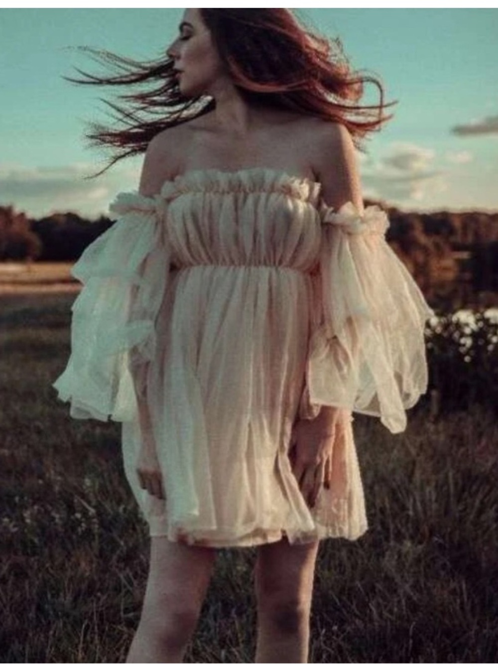 ReminisceMe:Ruffle off the shoulder Mesh Dress Fairy Layer Cream Sz S NWOT FIRM$ - Picture 3 of 13